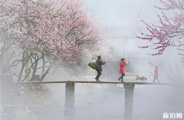 姓潘村古鎮旅游攻略 姓潘村在哪里