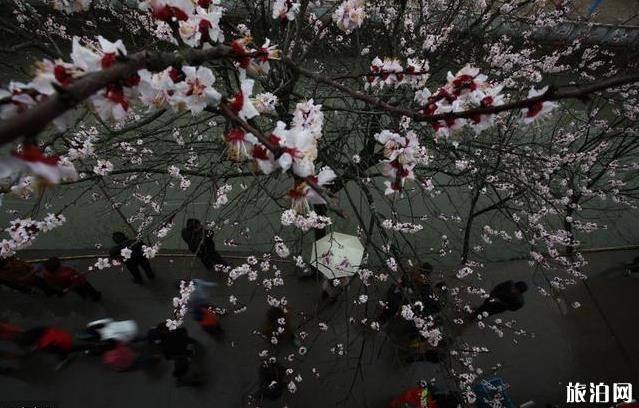 姓潘村古鎮(zhèn)旅游攻略 姓潘村在哪里