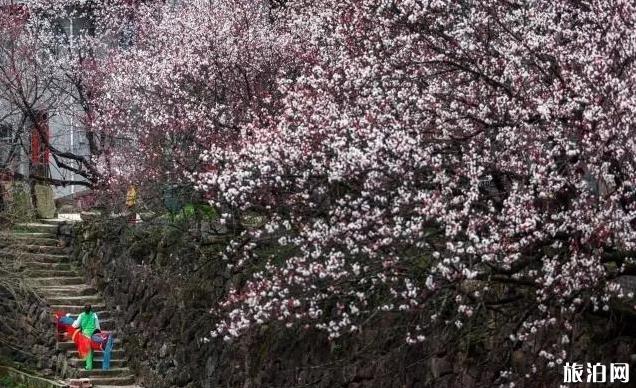 姓潘村古镇旅游攻略 姓潘村在哪里