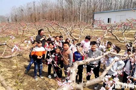 2019云腾赏花节3月30日开启 樱花节+桃花节