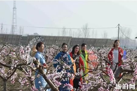 2019云腾赏花节3月30日开启 樱花节+桃花节