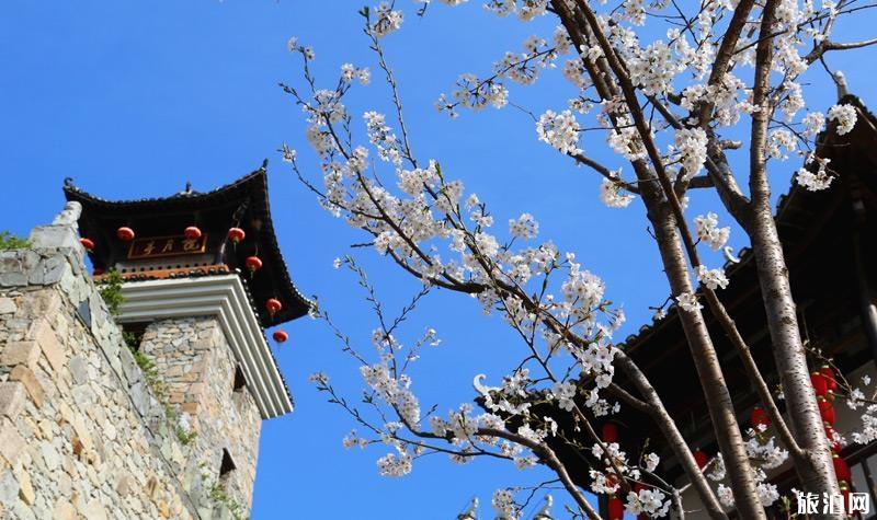 武汉小众赏花的地方景点