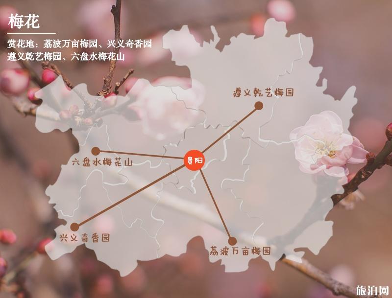 2019贵州赏花时间表 四月贵州哪里适合赏花