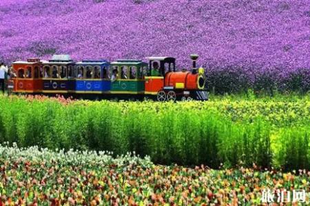 2019三峡枝江桃花节活动攻略