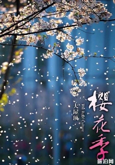 2019杭州大屋顶樱花季预约攻略+时间+地点