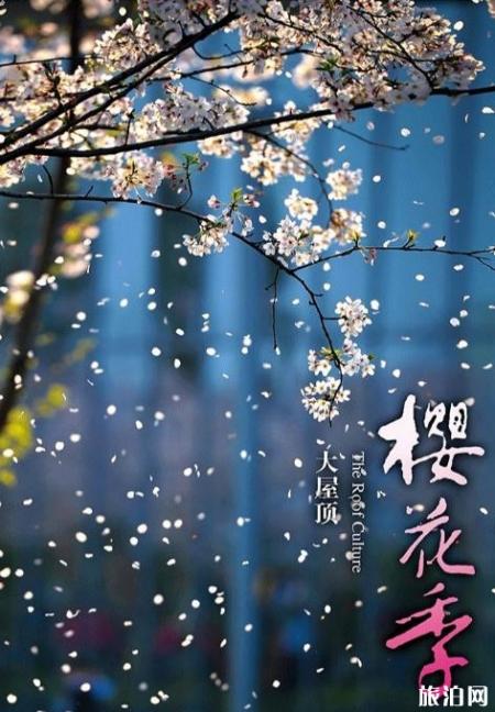 2019杭州大屋顶樱花季活动攻略
