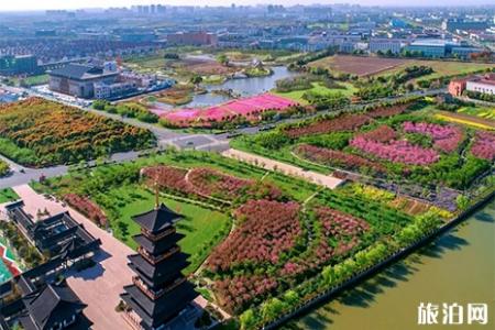 2019浙江钟溪樱花节3月28日开启