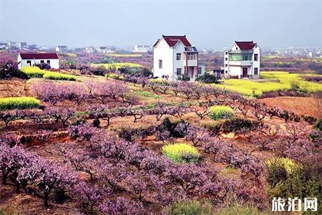 安徽马鞍山当涂桃花节3月28日开启 附活动时间信息