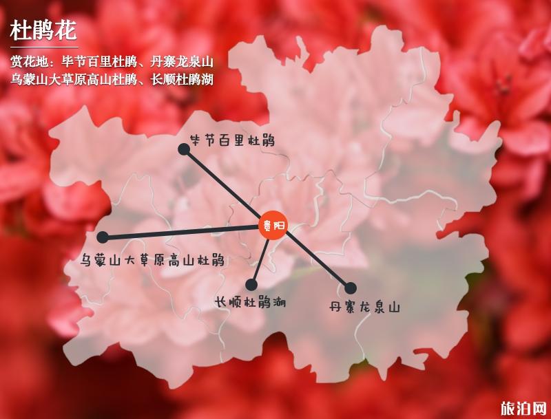 2019贵州赏花时间表 四月贵州哪里适合赏花