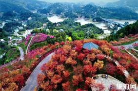 重庆南湖多彩植物园旅游节3月29日开启 重庆南湖多彩植物园门票