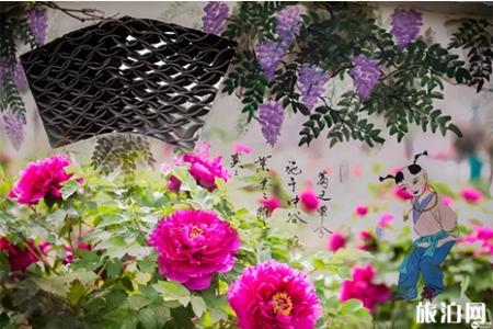 2019方城牡丹花节4月4日至20日开启