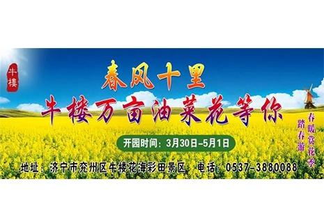 2019兖州牛楼花海彩田油菜花节3月30日开启 附门票信息