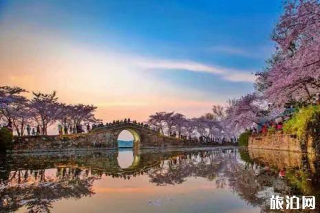 鼋头渚赏樱停车攻略 2019无锡鼋头渚赏樱专线票价+运营时间