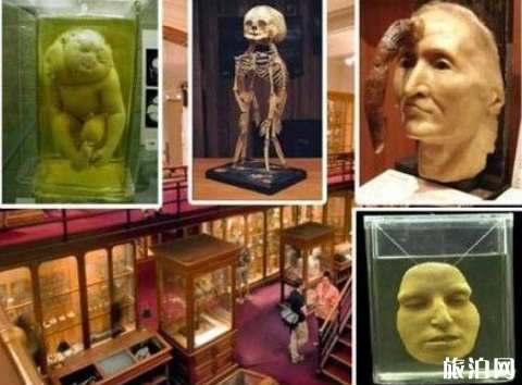 全世界最恐怖的十大博物馆