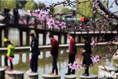 2019上海金山百花节3月23日开启 时间+地址