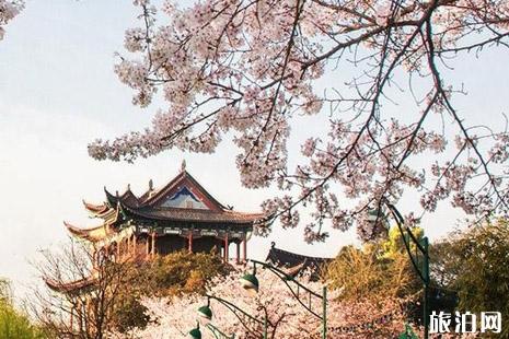 情侣四月适合去哪旅游