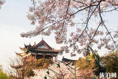 情侣四月适合去哪旅游