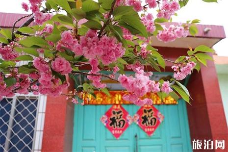 2019山东莱阳濯村樱花节信息