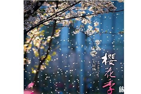2019杭州大屋顶樱花节 附预约信息