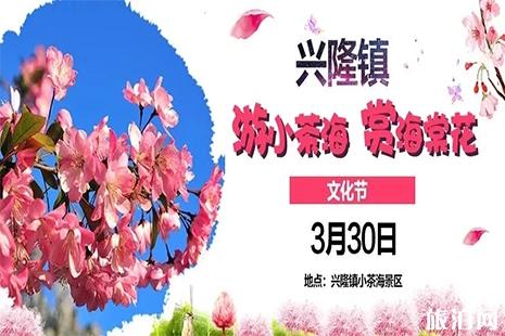 2019遵义湄潭象山樱花节 附活动时间信息