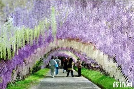 2019蟒山森林公园风铃节 附活动信息