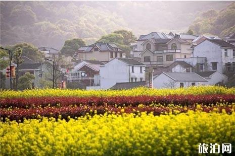 2019年五一浙江省內旅游普陀有什么好玩的