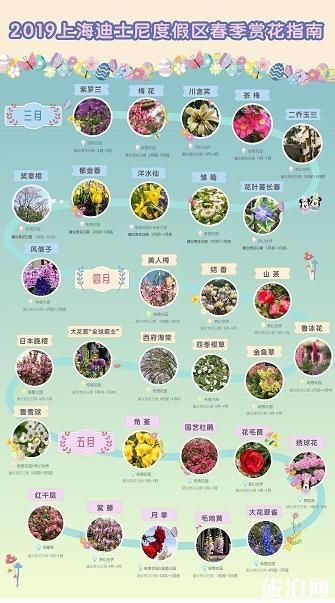 2019上海迪士尼春季赏花攻略