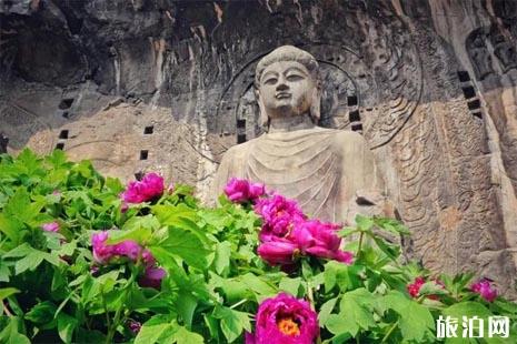 2019洛阳牡丹节龙门石窟活动攻略
