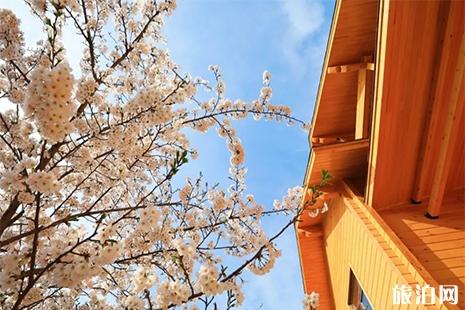 2019最新旅顺203樱花园门票信息+停车收费