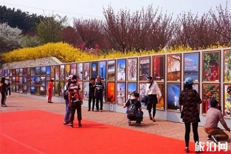 2022最新旅顺203樱花园门票信息及停车收费