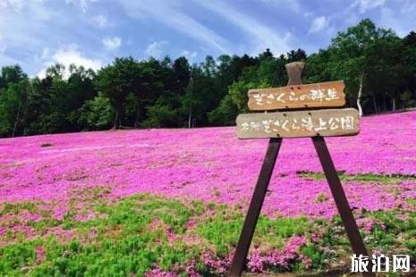 日本五一还有樱花吗 2022北海道樱花攻略