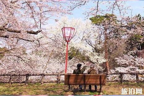 4月上海迪士尼有樱花吗 2019上海迪士尼春季赏花指南
