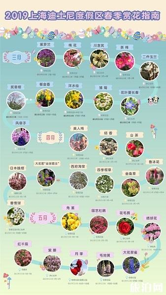 4月上海迪士尼有樱花吗 2019上上海迪士尼春季赏花指南