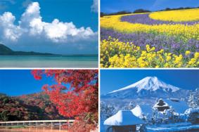 日本旅游最佳时间几月 日本的消费高吗