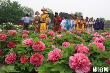 2019圆明园踏青节4月3日开启