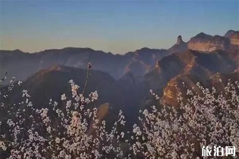 2019邢台九龙峡桃花节4月5日开启