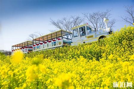2019日照樱花节4月5日至30日 附活动信息
