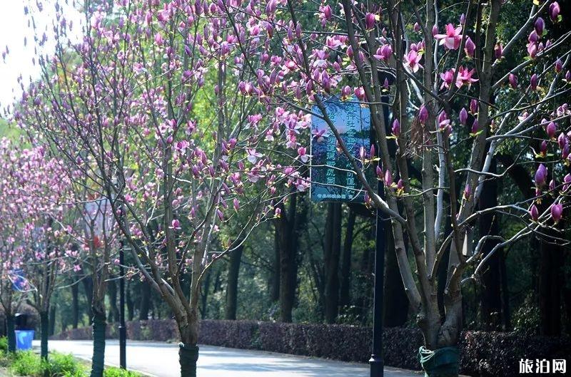 2019湖南省植物园赏花时间表