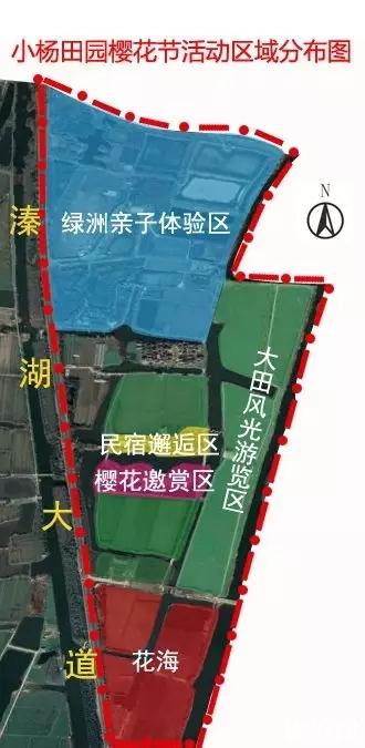 2019桥头镇小杨田园樱花节4月13日开启