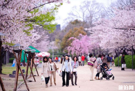 2019宁波绿野山居樱花节门票+住宿+交通信息