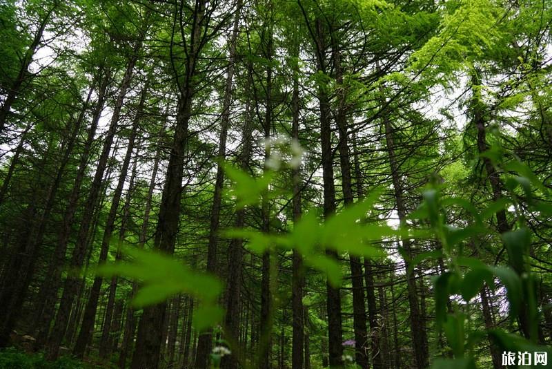 北京去雾灵山坐火车如何去 北京去雾灵山怎么走