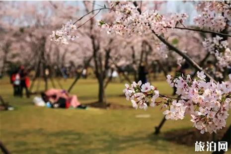 上海公園燒烤推薦 門票+燒烤費用