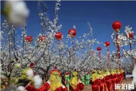 2019隰县梨花节在什么时间+交通+介绍