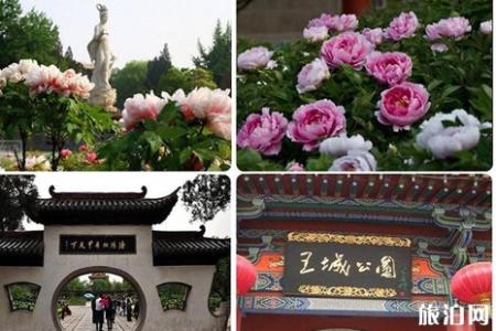 2019王城公园牡丹花会门票+交通+介绍+旅游路线