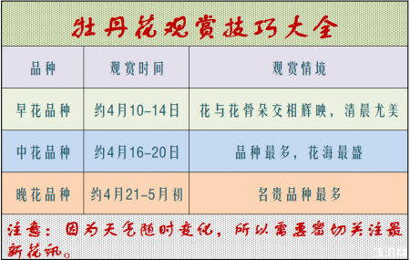洛阳牡丹花会2019时间+地址+门票价格