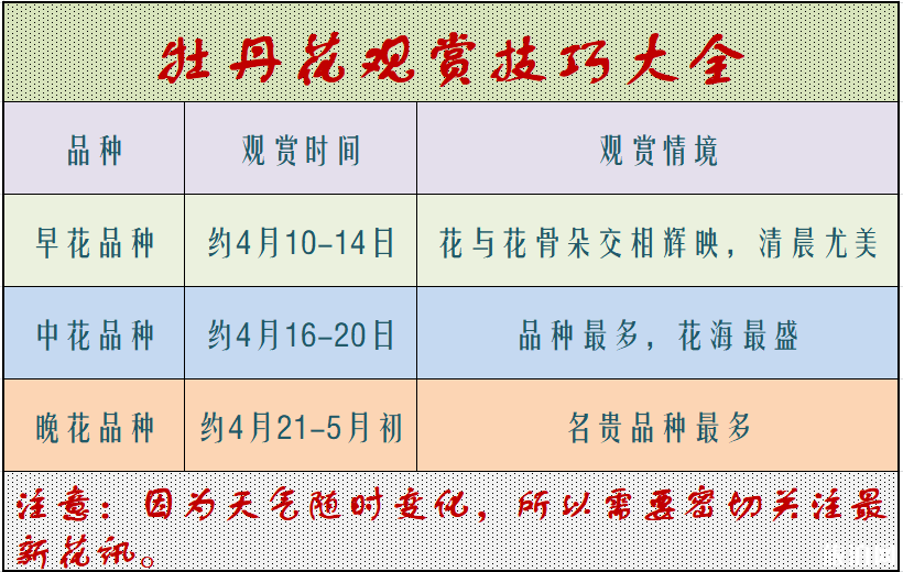 洛阳牡丹花会2019时间+地址+门票价格