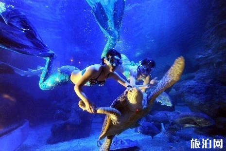 2019福州左海海底世界门票+优惠政策+交通