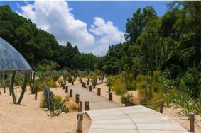 2019仙湖植物园预约出行最新变化 附仙湖植物园预约全攻略