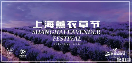 上海薰衣草节2019时间+地点