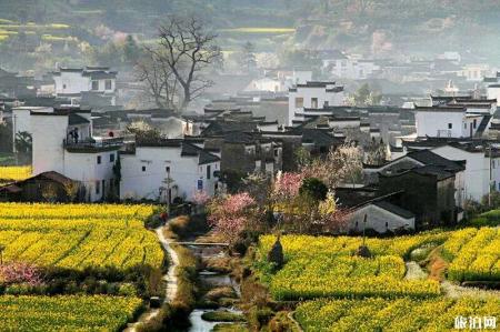 婺源东线怎么玩 2019婺源东线景点